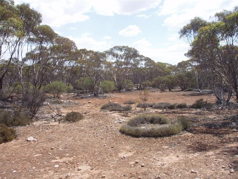 Section 206 Hundred Of Ridley, Black Hill SA 5353