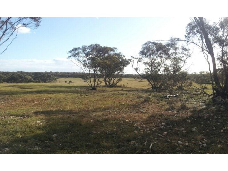 648 Goondooloo Road, Bowhill SA 5238