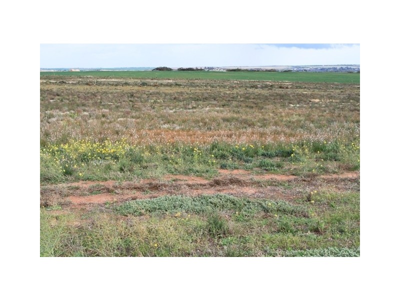 Allotment 36 Magpie Crescent, Mannum SA 5238