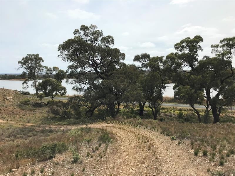 Section 501 East Front Road, Younghusband SA 5238