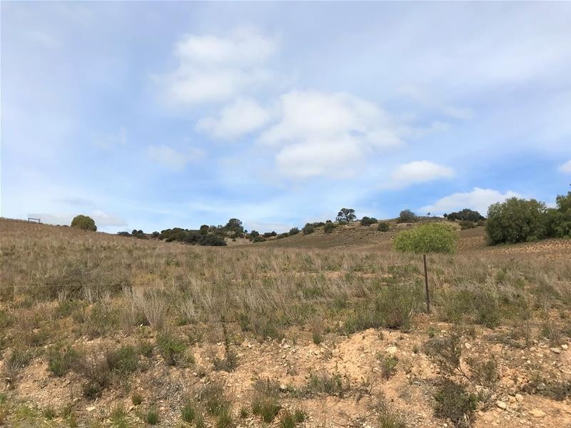 Section 501 East Front Road, Younghusband SA 5238