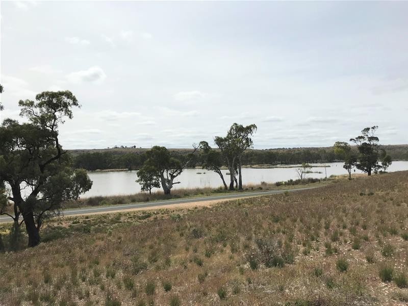 Section 501 East Front Road, Younghusband SA 5238