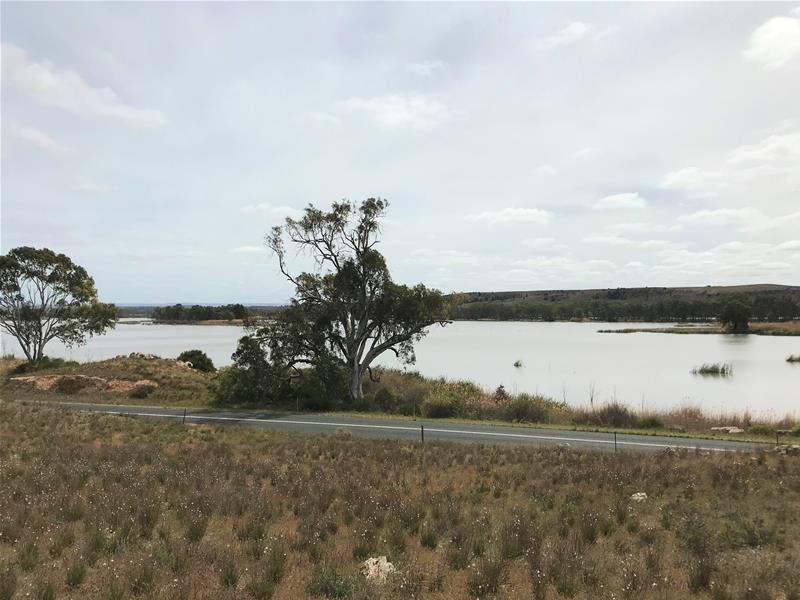 Section 501 East Front Road, Younghusband SA 5238