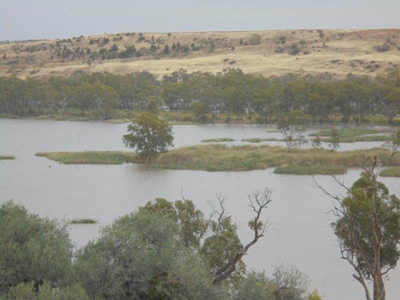 Section 501 East Front Road, Younghusband SA 5238