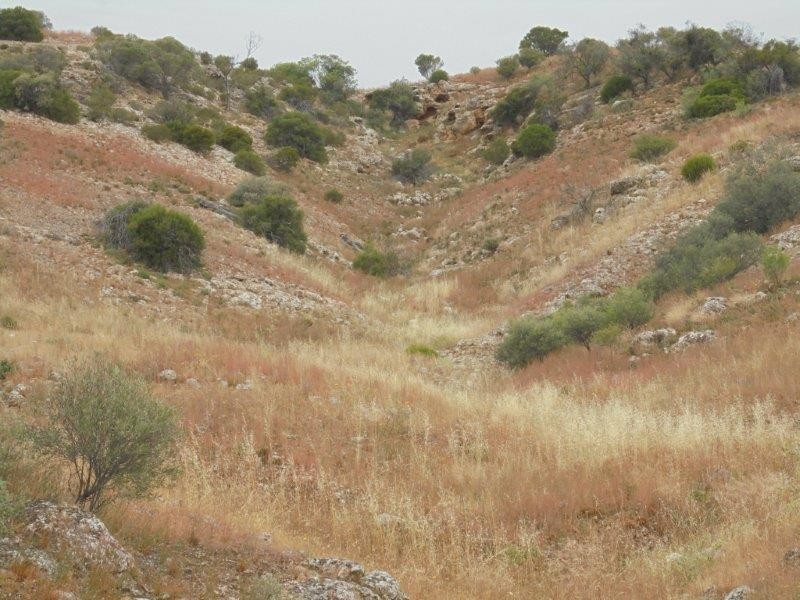 Section 501 East Front Road, Younghusband SA 5238