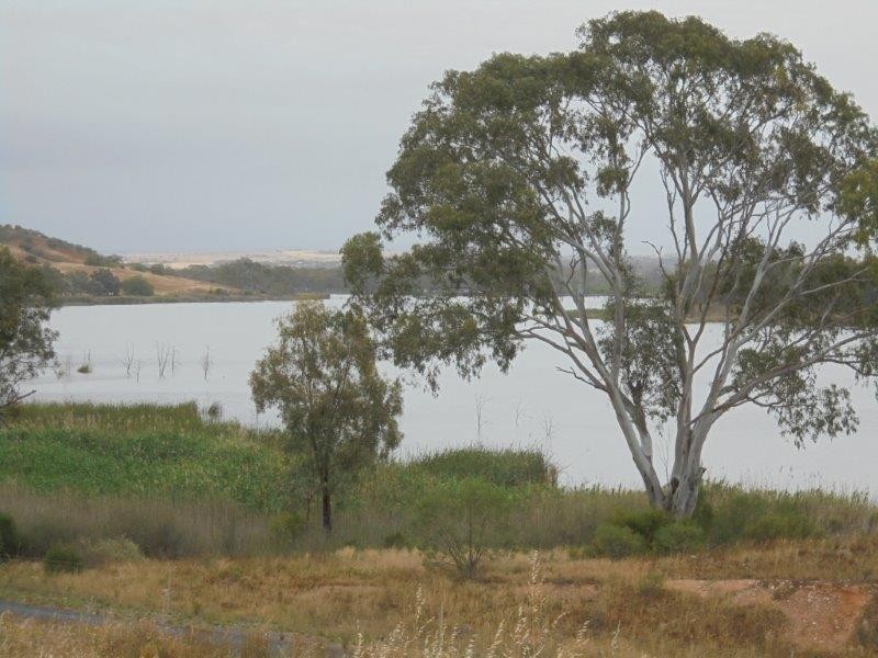 Section 501 East Front Road, Younghusband SA 5238