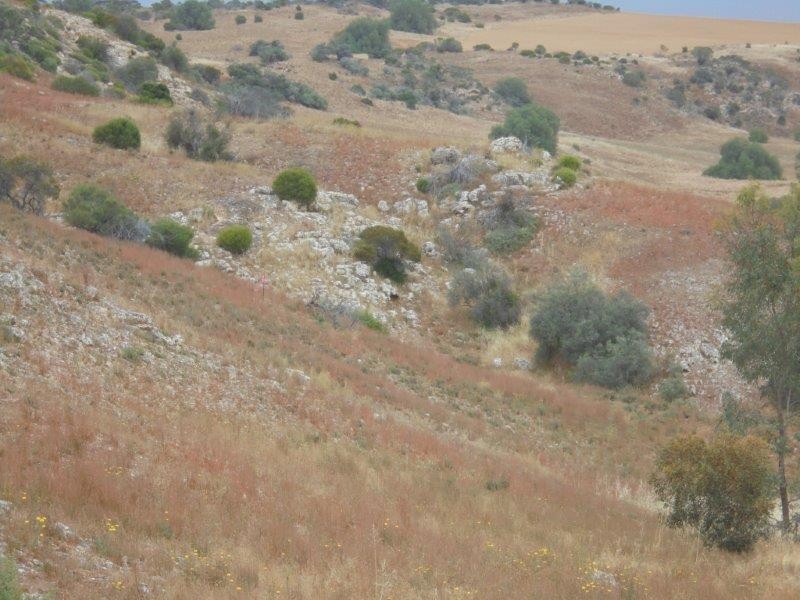 Section 501 East Front Road, Younghusband SA 5238