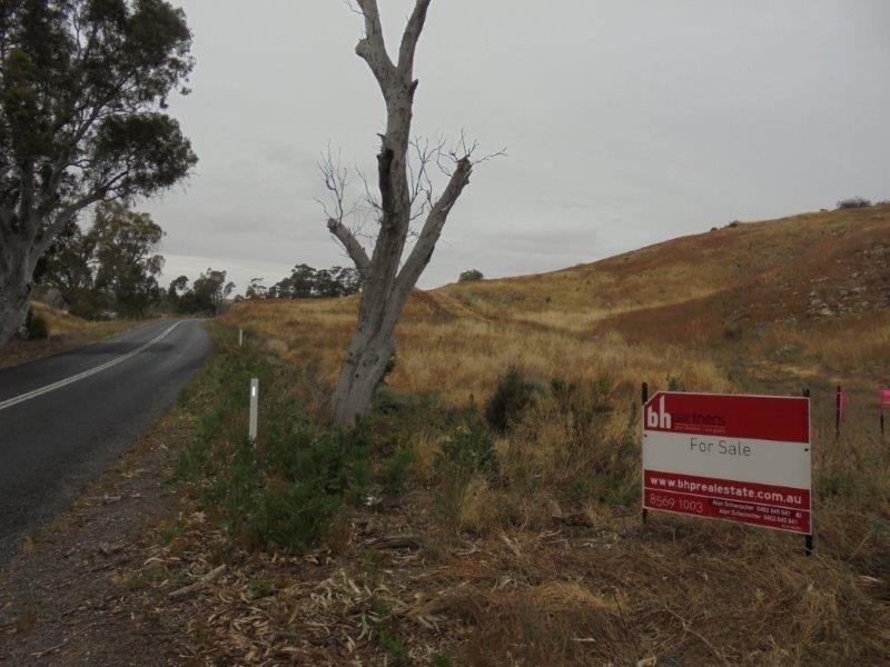 Section 501 East Front Road, Younghusband SA 5238