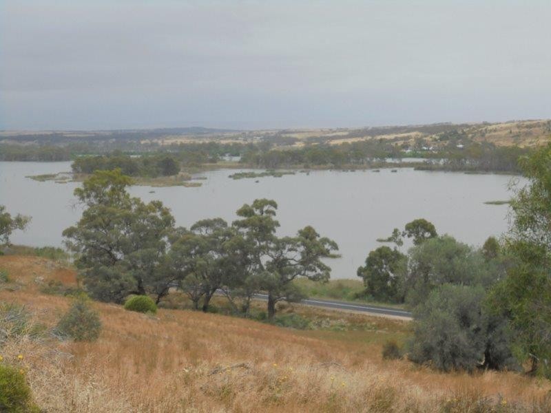 Section 501 East Front Road, Younghusband SA 5238