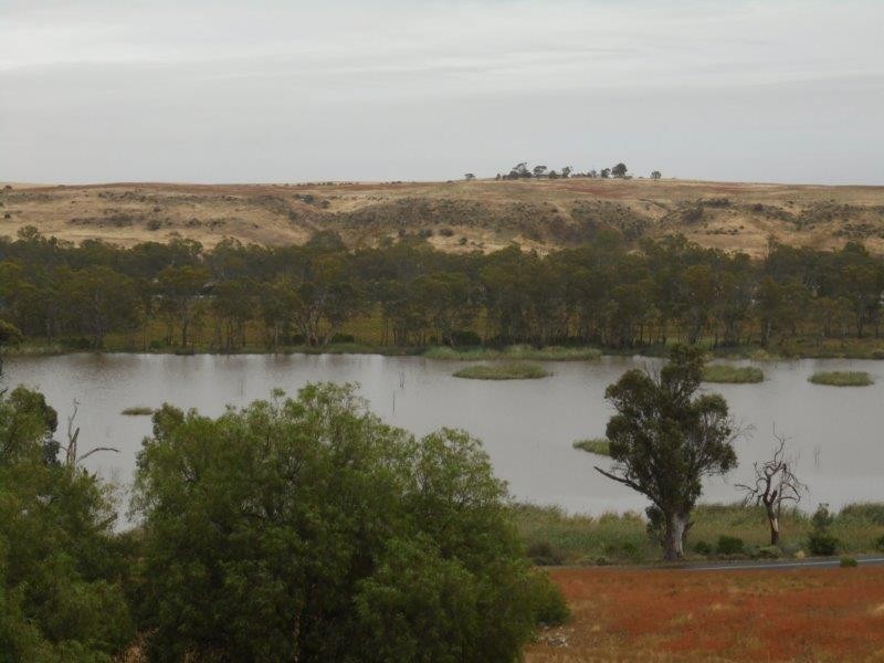 Section 501 East Front Road, Younghusband SA 5238