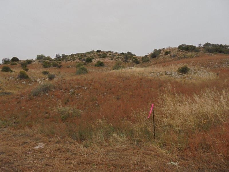 Section 501 East Front Road, Younghusband SA 5238