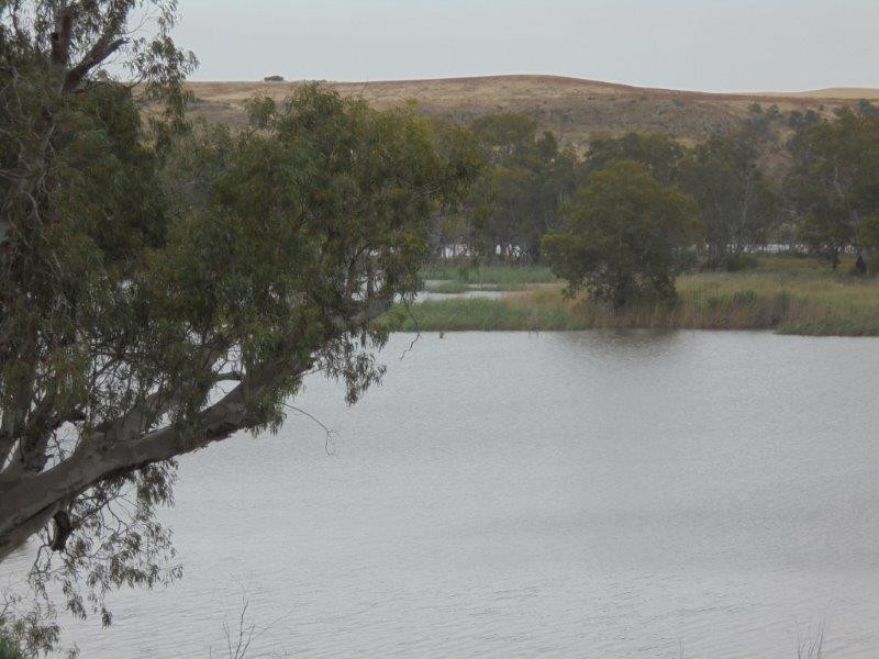 Section 501 East Front Road, Younghusband SA 5238