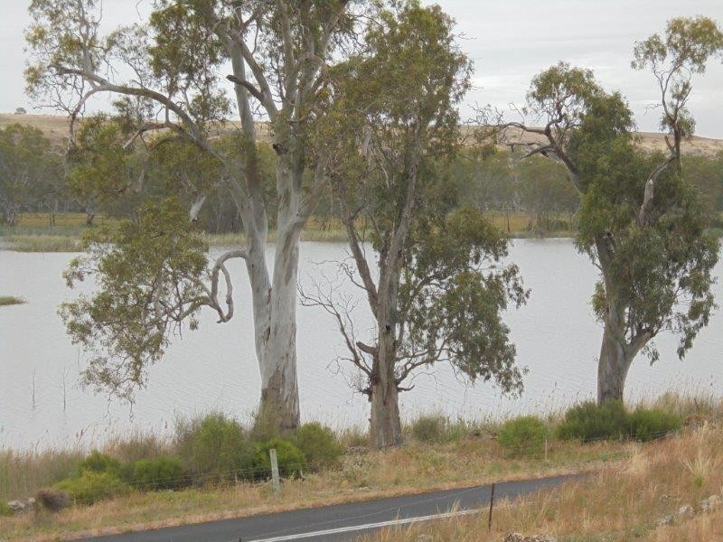 Section 501 East Front Road, Younghusband SA 5238