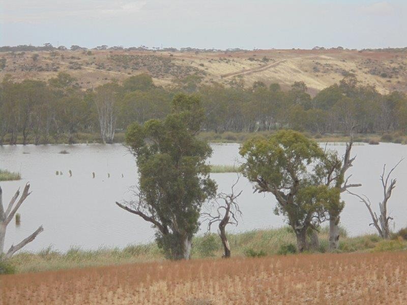 Section 501 East Front Road, Younghusband SA 5238