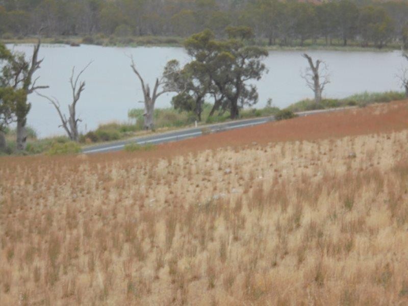 Section 501 East Front Road, Younghusband SA 5238