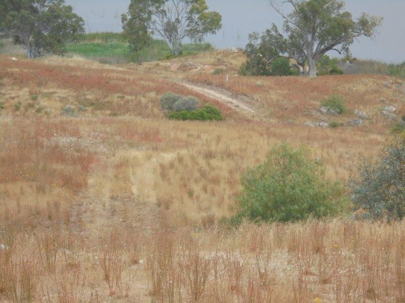 Section 501 East Front Road, Younghusband SA 5238