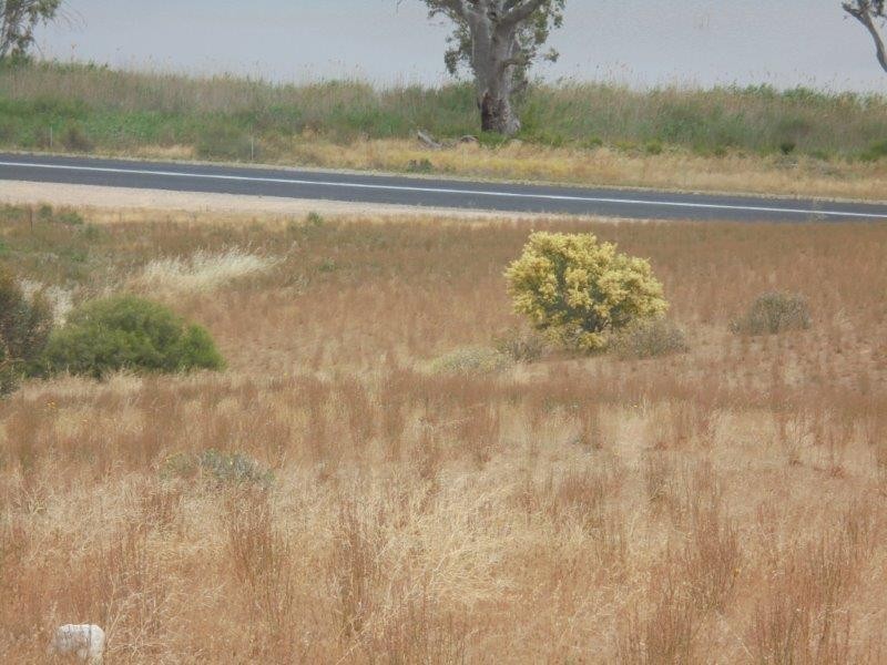 Section 501 East Front Road, Younghusband SA 5238