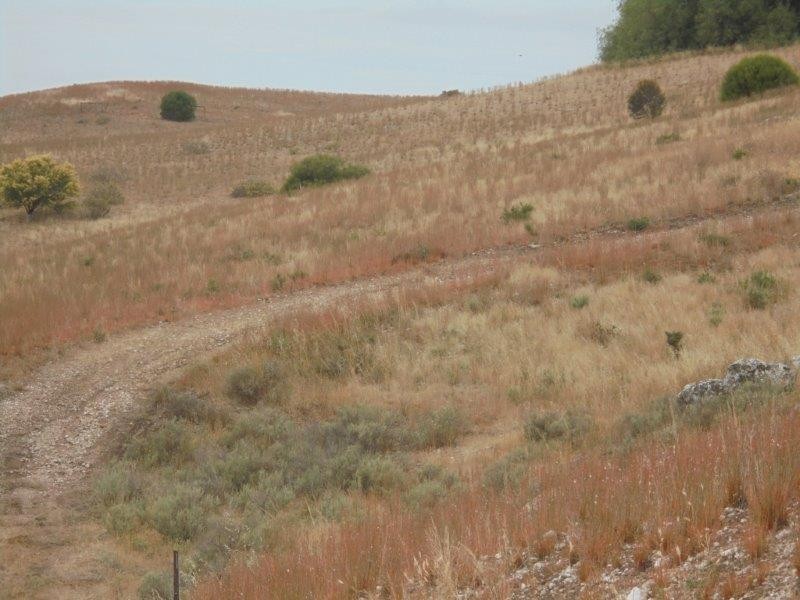 Section 501 East Front Road, Younghusband SA 5238