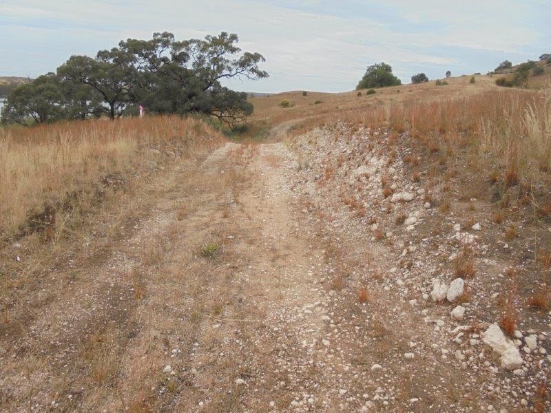 Section 501 East Front Road, Younghusband SA 5238