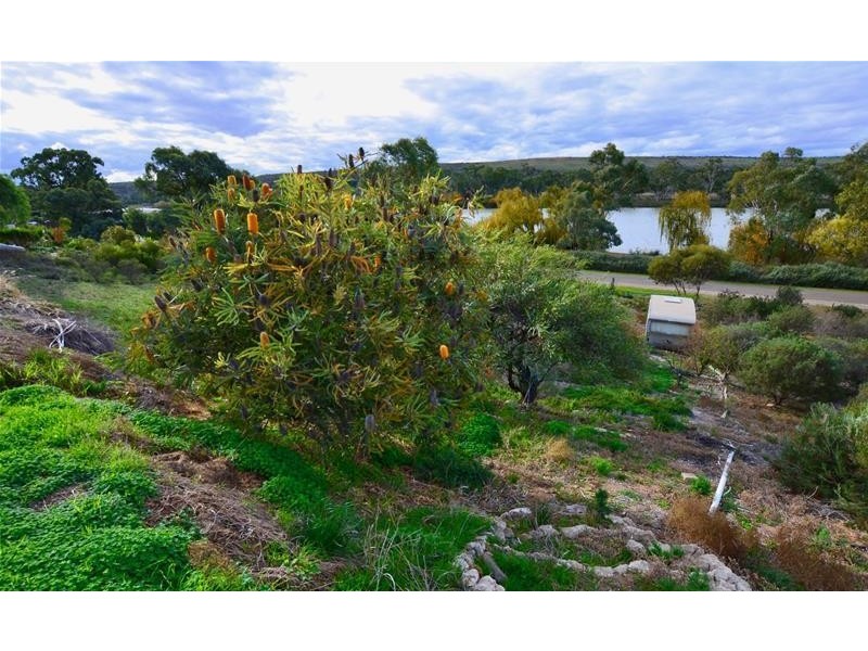 14 Gowling Court, Younghusband SA 5238