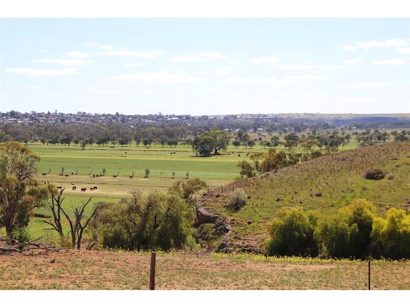 20 Lahne Road Cowirra via, Mannum SA 5238