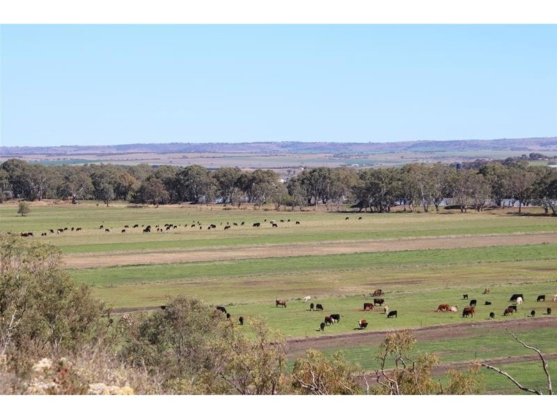 20 Lahne Road Cowirra via, Mannum SA 5238