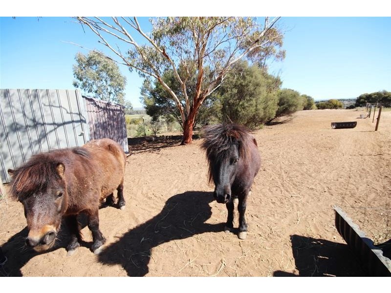 20 Lahne Road Cowirra via, Mannum SA 5238