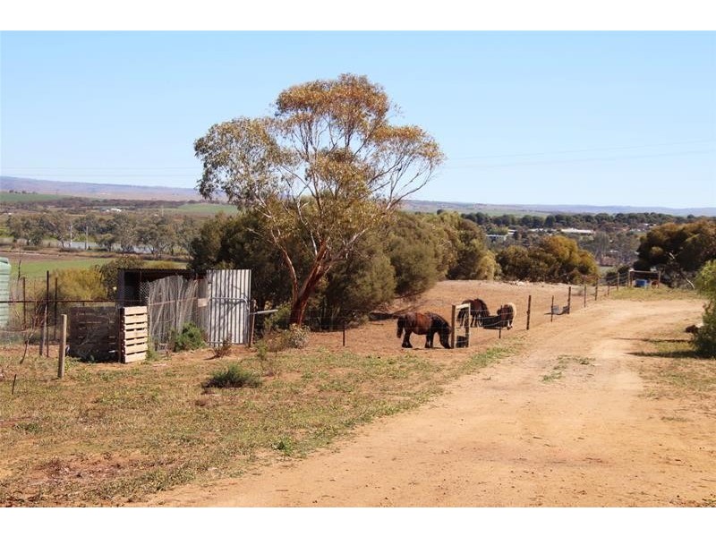 20 Lahne Road Cowirra via, Mannum SA 5238