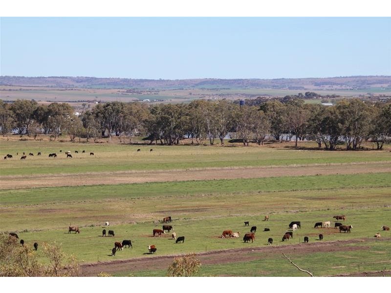 20 Lahne Road Cowirra via, Mannum SA 5238