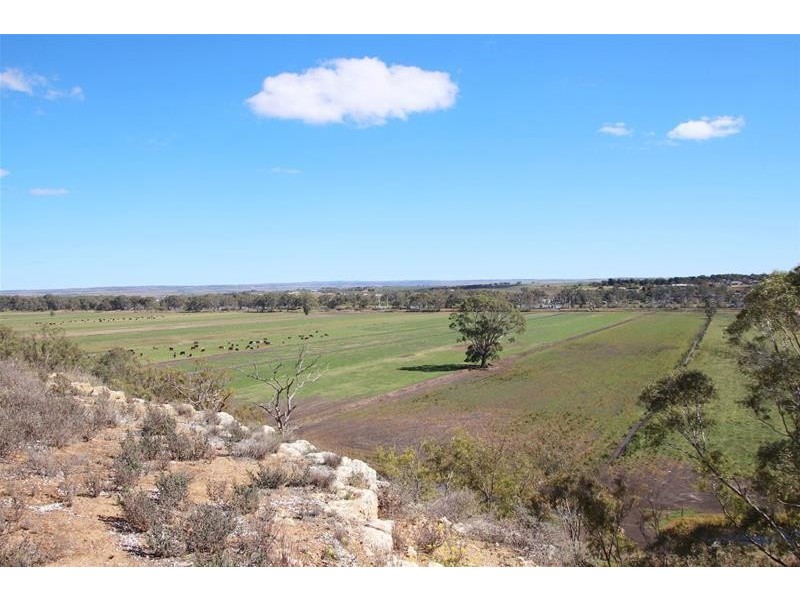 20 Lahne Road Cowirra via, Mannum SA 5238