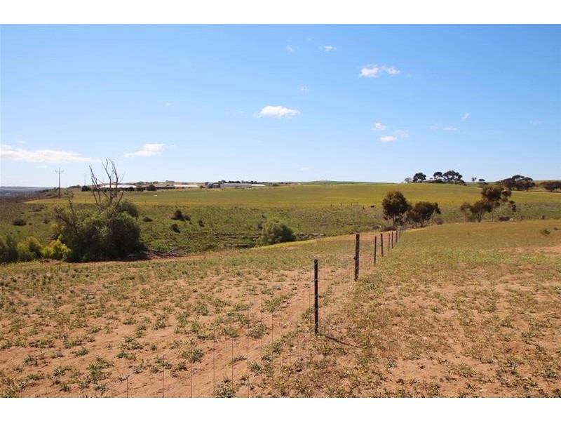 20 Lahne Road Cowirra via, Mannum SA 5238
