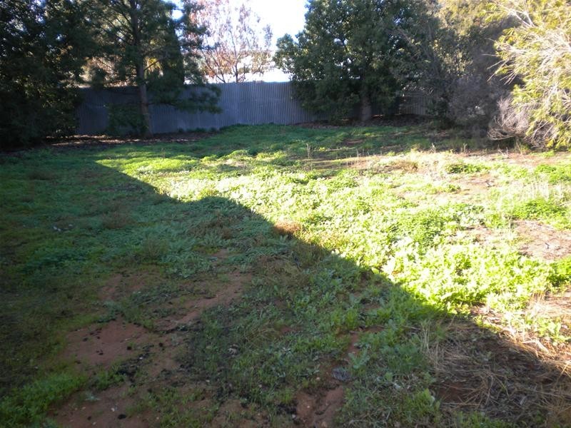 14 Hamilton Street, Mannum SA 5238