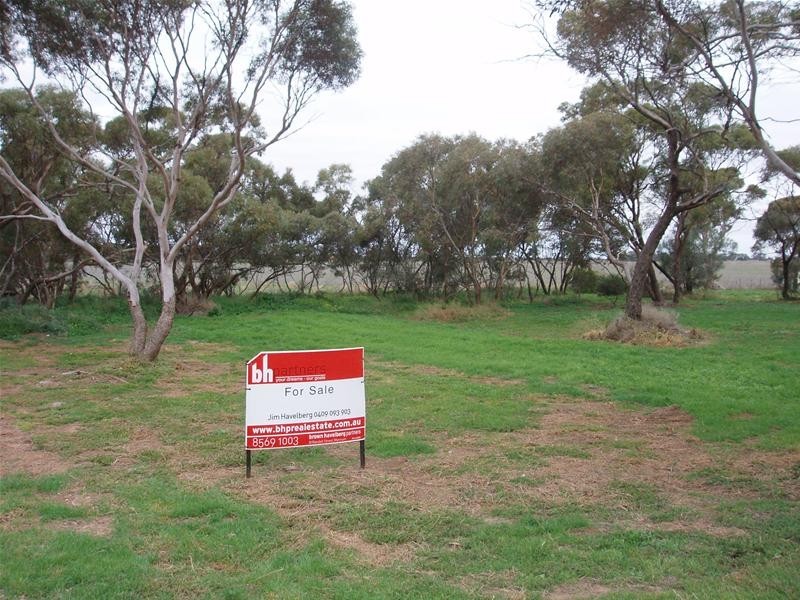 Lot 769 Mannum-Sedan Road, Sedan SA 5353