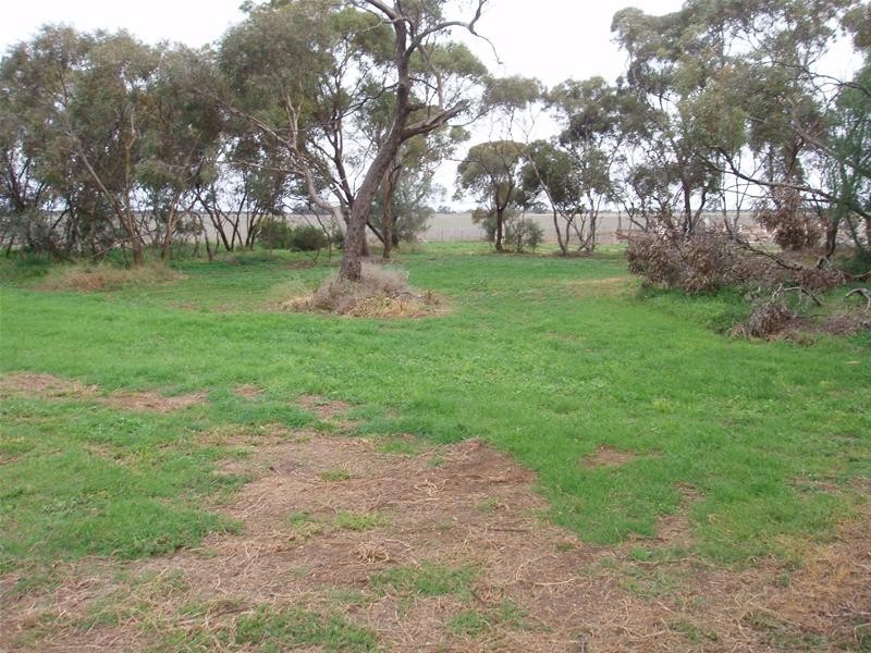 Lot 769 Mannum-Sedan Road, Sedan SA 5353