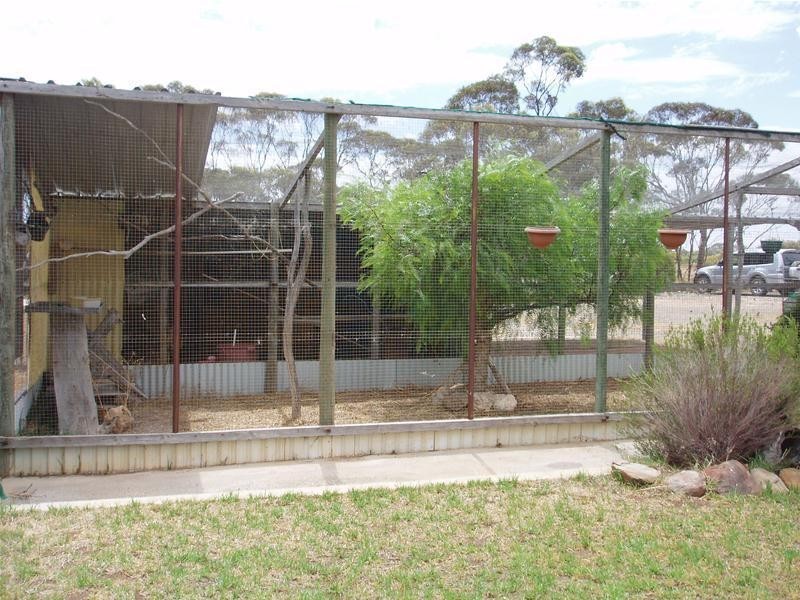 1327 Falkenberg Road, Black Hill SA 5353