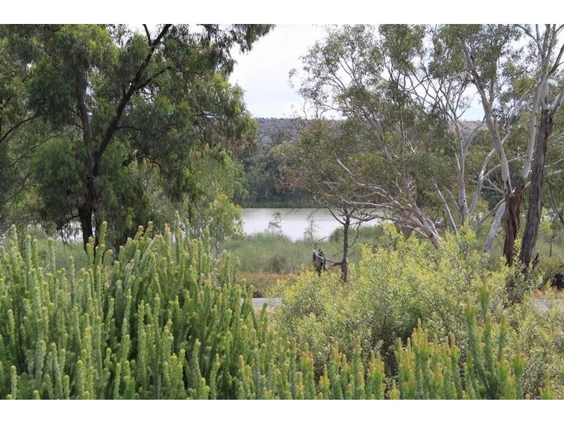 5 Khancoban Place, Younghusband SA 5238