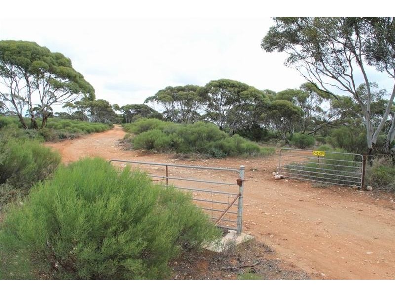 1529 Purnong Road, Mannum SA 5238