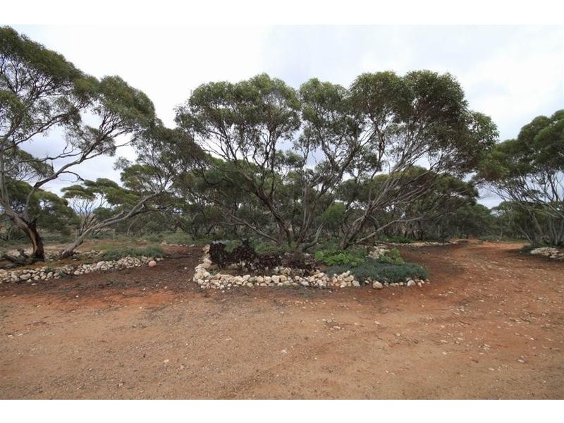 1529 Purnong Road, Mannum SA 5238