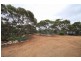 1529 Purnong Road, Mannum SA 5238