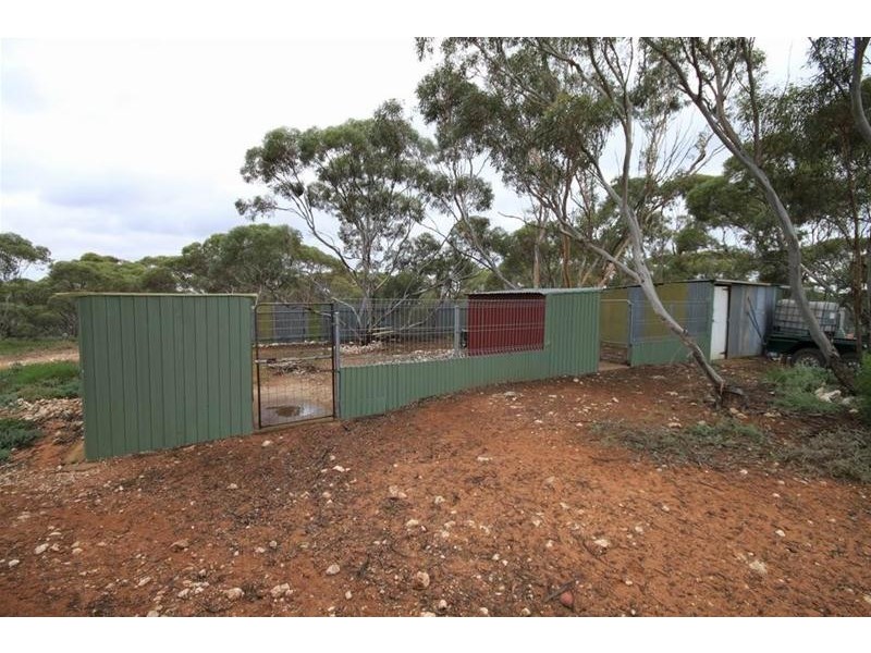 1529 Purnong Road, Mannum SA 5238