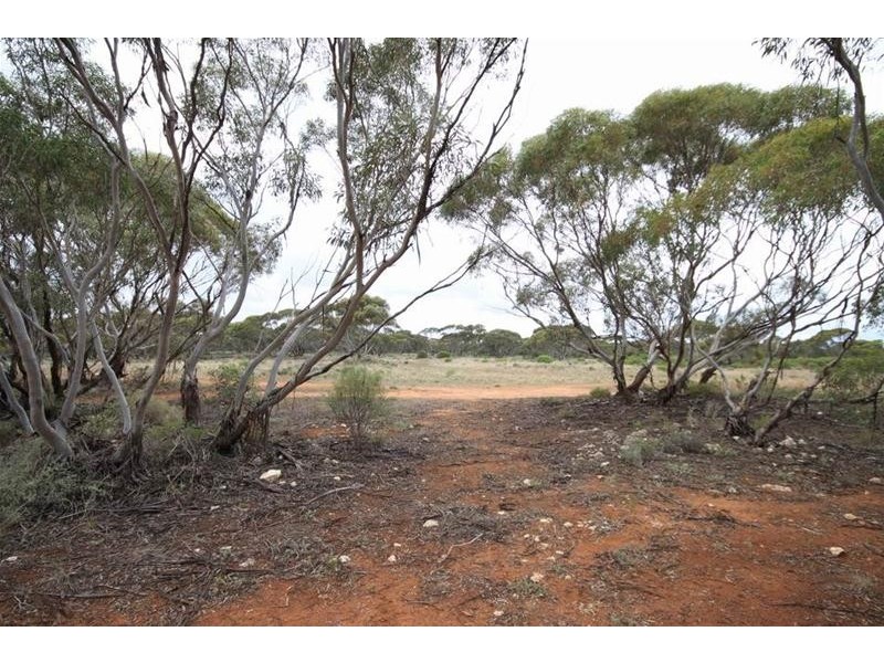 1529 Purnong Road, Mannum SA 5238