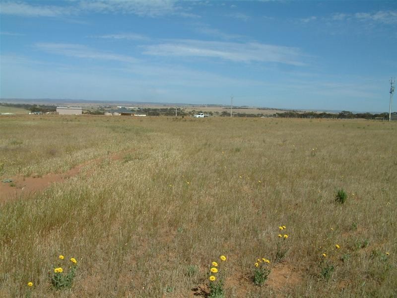 48 Ibis Drive, Sunset Rise Estate, Mannum SA 5238