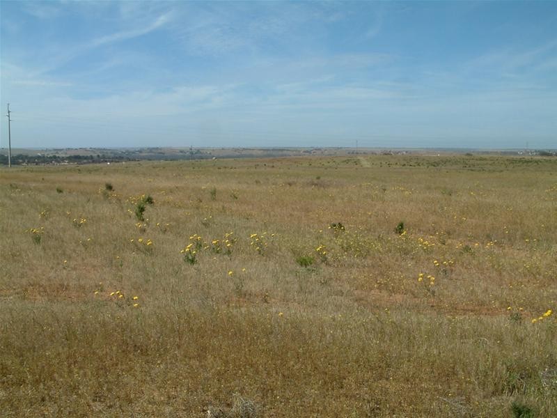 48 Ibis Drive, Sunset Rise Estate, Mannum SA 5238