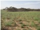 Lot 1 Claypans Road, Copeville SA 5308