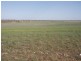 Lot 1 Claypans Road, Copeville SA 5308