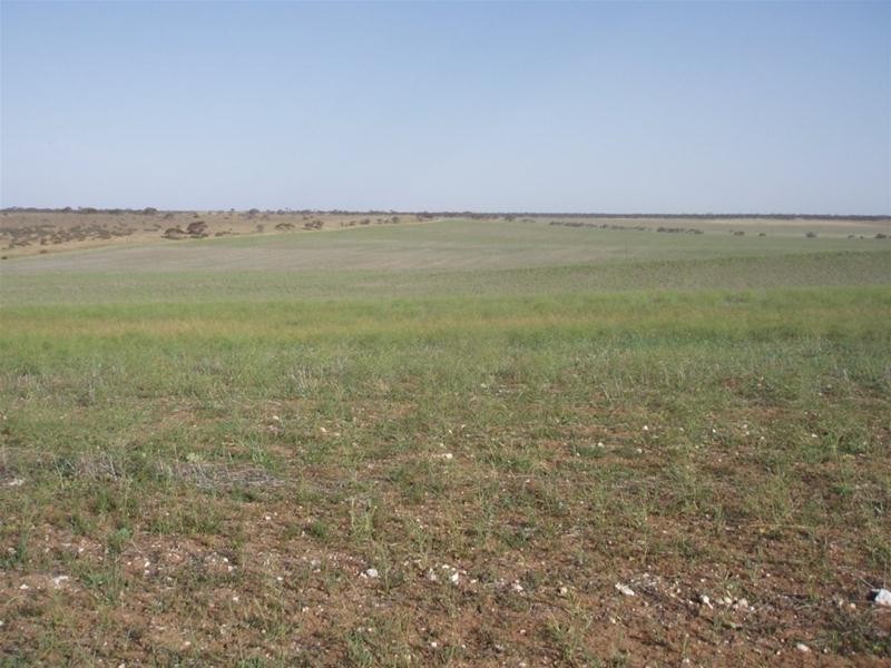 Lot 1 Claypans Road, Copeville SA 5308