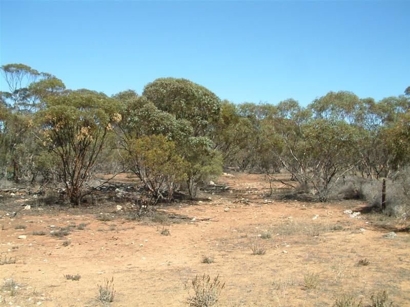 LOTS 10 Cockshell Road, Bowhill SA 5238