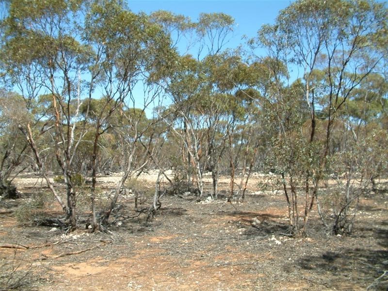 LOTS 10 Cockshell Road, Bowhill SA 5238