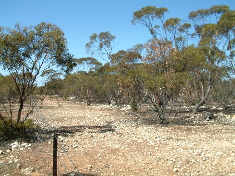 LOTS 10 Cockshell Road, Bowhill SA 5238