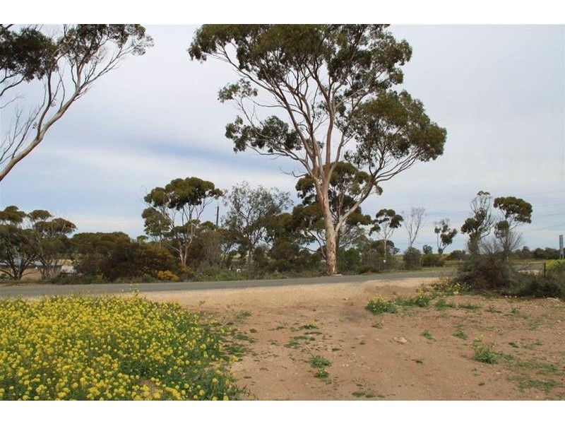 Lot 18B King George Street, Mannum SA 5238